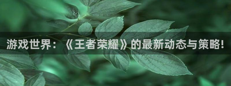 欧博娱乐平台登录入口：游戏世界：《王者荣耀》的最新动态与策略