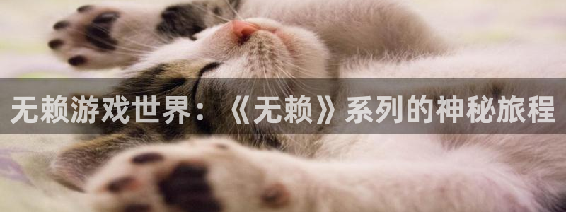 欧博官网合作一比一：无赖游戏世界：《无赖》系列的神秘旅程