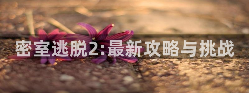 欧博官网合作