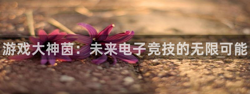 欧博娱乐官网登录：游戏大神茵：未来电子竞技的无限可能