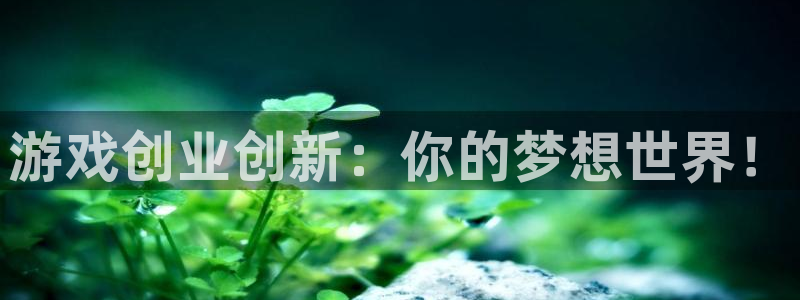 欧博娱乐怎么注册：游戏创业创新：你的梦想世界！