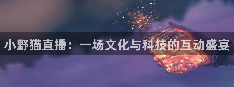 下载松鼠电视直播：小野猫直播：一场文化与科技的互动盛宴